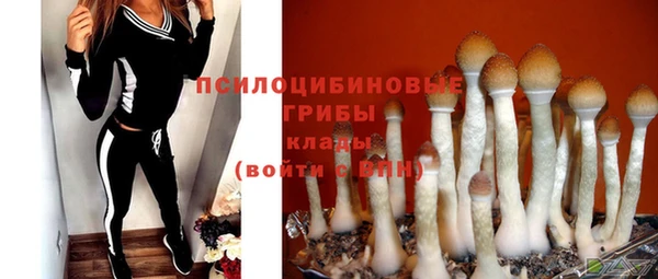 ПСИЛОЦИБИНОВЫЕ ГРИБЫ Наволоки